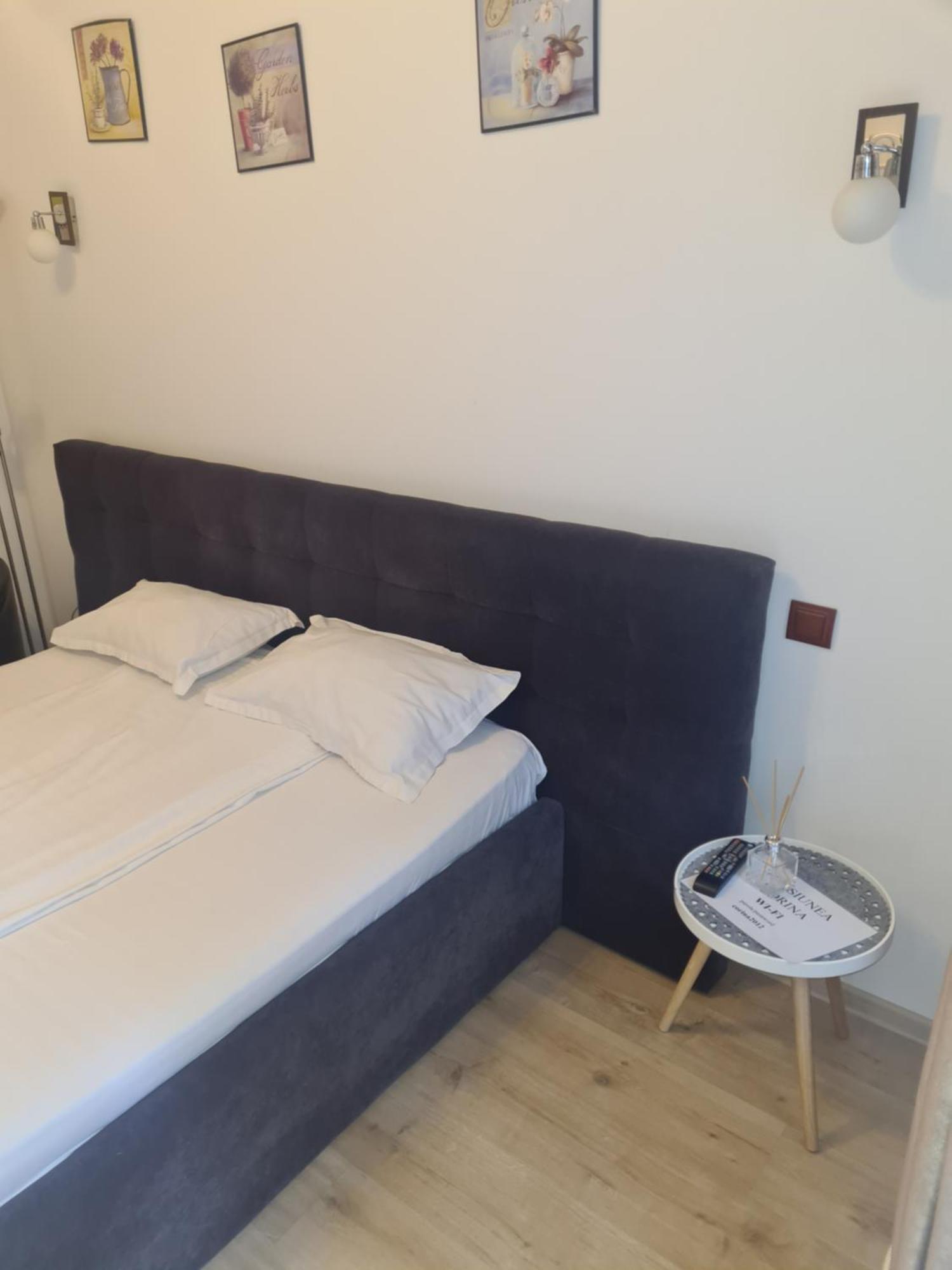 Pensiunea Corina Boutique Craiova Buitenkant foto